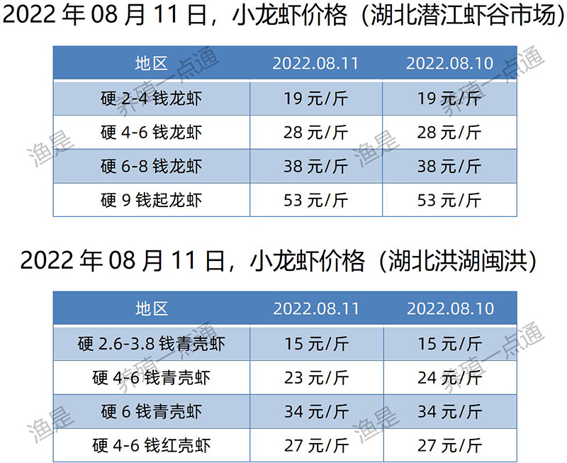 2022.08.11，小龙虾价格（湖北）