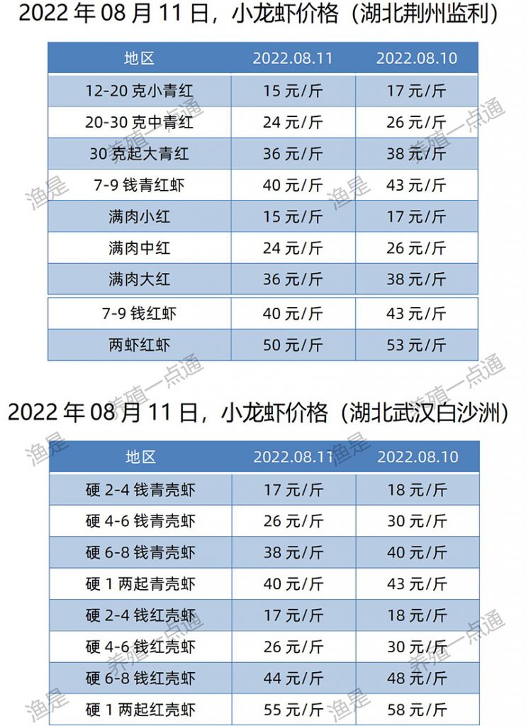 2022.08.11，小龙虾价格（湖北）