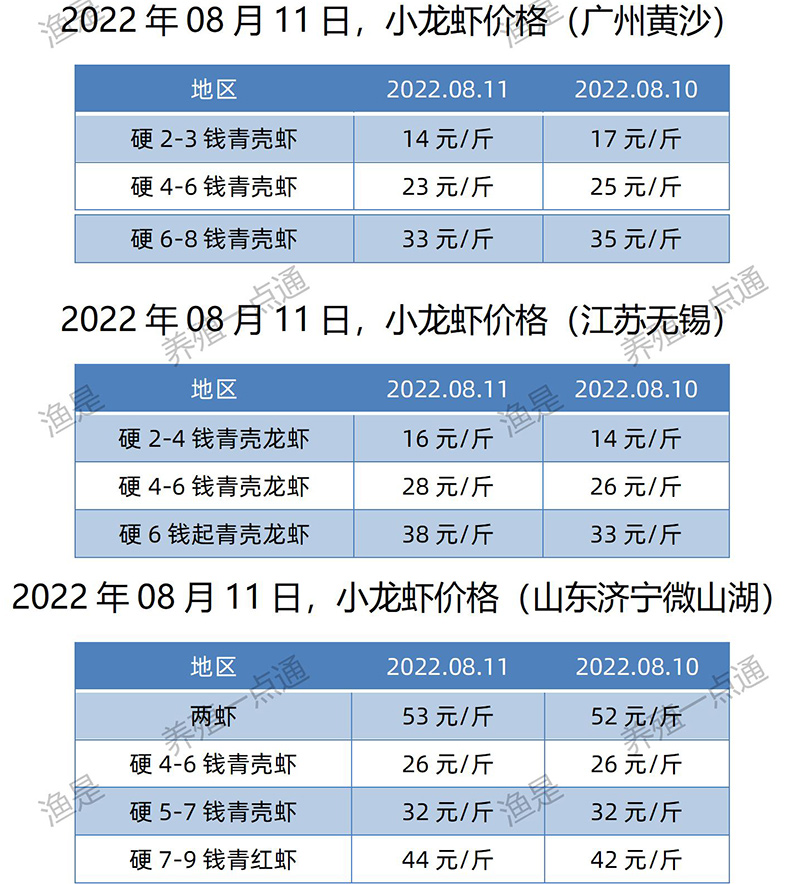 2022.08.11，小龙虾价格（山东、江苏、广东）