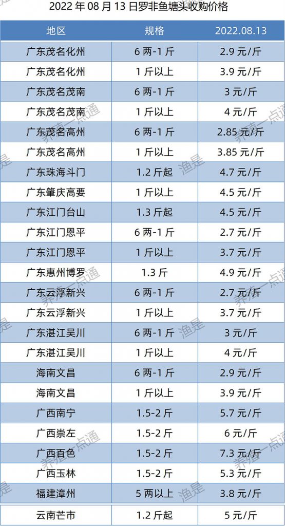 2022.08.13，罗非鱼塘头收购价