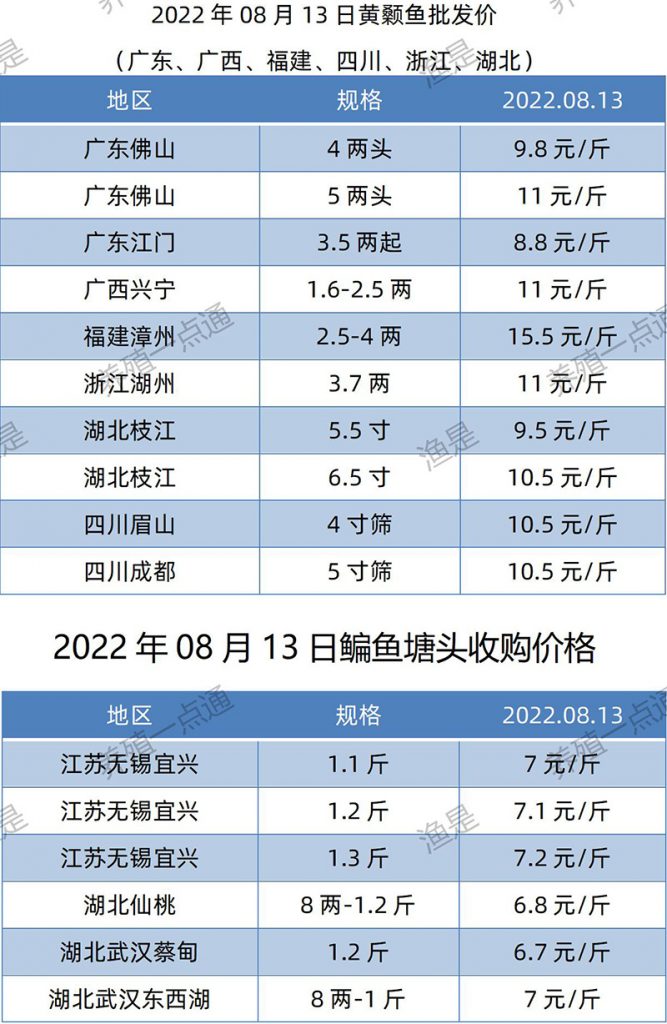 2022.08.13，黄颡鱼、鳊鱼塘头收购价