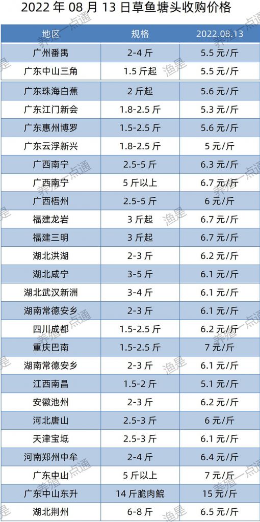 2022.08.13，草鱼塘头收购价