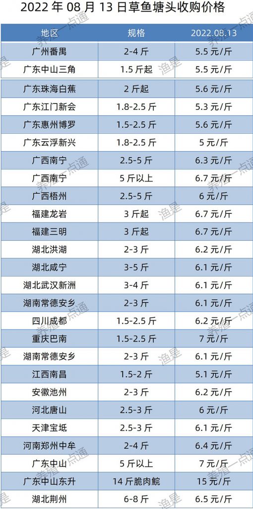 2022.08.13，草鱼塘头收购价