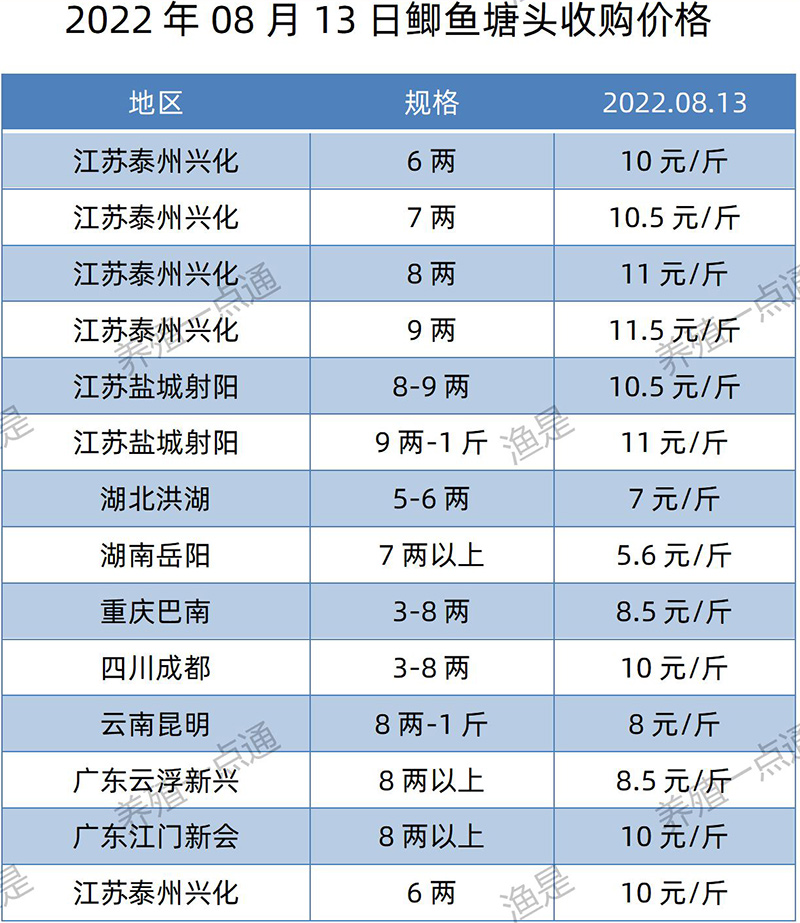 2022.08.13，鲫鱼塘头收购价