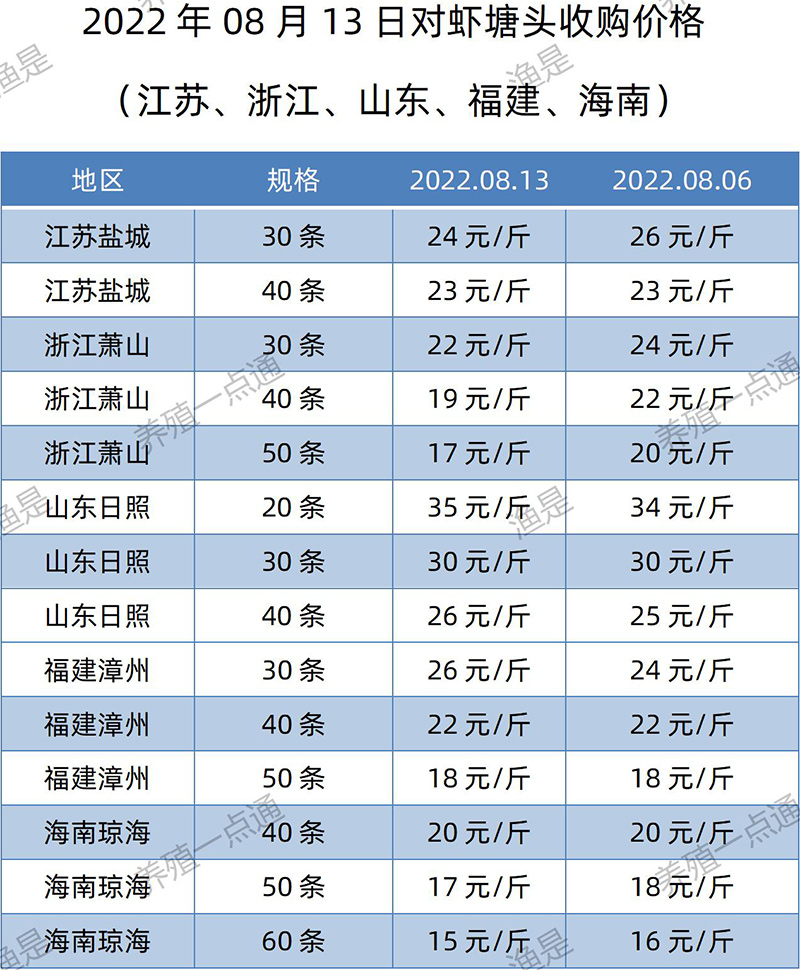 2022.08.13，南美白对虾塘头收购价格（江苏、山东、福建、海南）