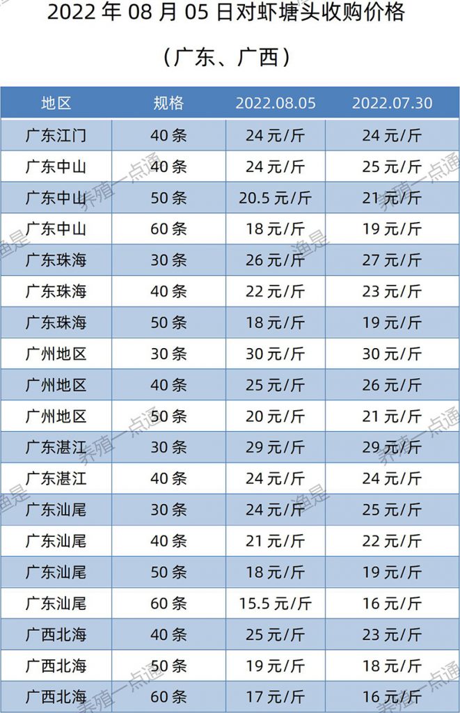 2022.08.13，南美白对虾塘头收购价格（广东、广西）