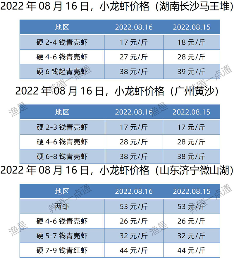 2022.08.16，小龙虾价格（湖南、山东、广东）