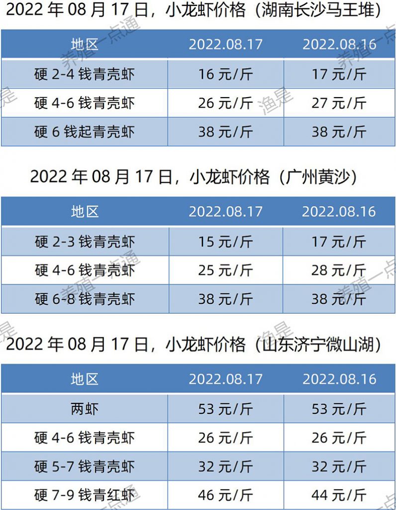 2022.08.17，小龙虾价格（湖南、山东、广东）