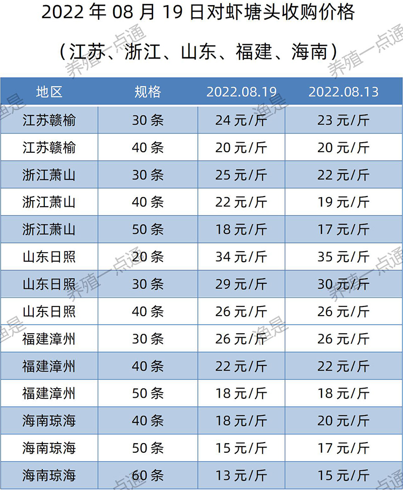 2022.08.19，南美白对虾塘头收购价格（江苏、山东、福建、海南）