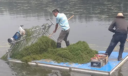 蟹塘除草船