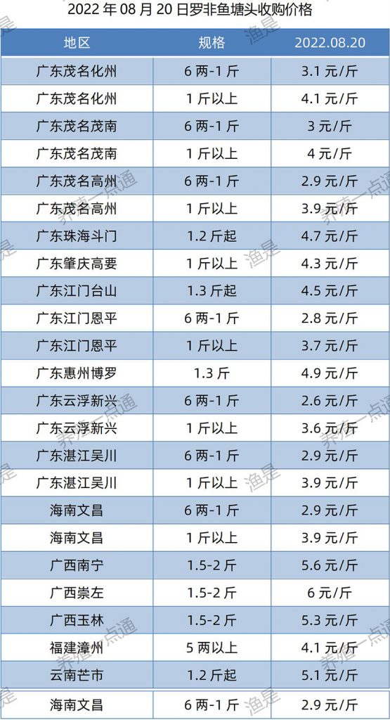 2022.08.20，罗非鱼塘头收购价