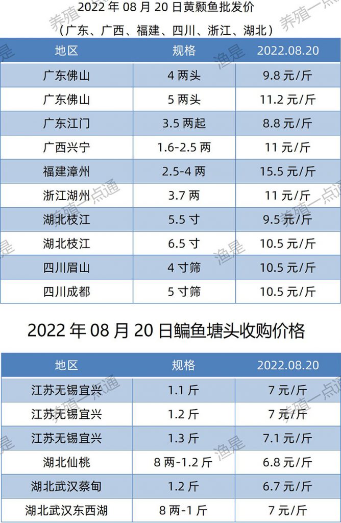 2022.08.20，黄颡、鳊鱼塘头收购价