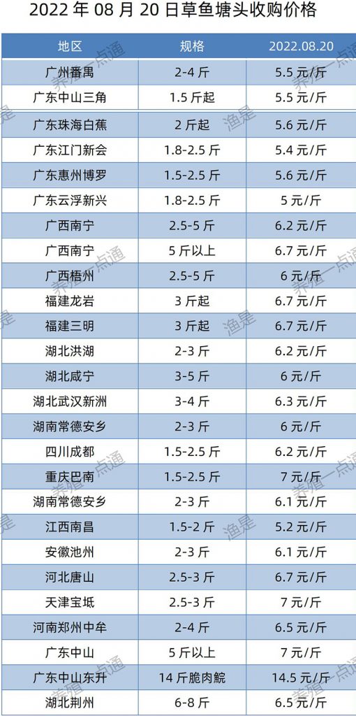 2022.08.20，草鱼塘头收购价