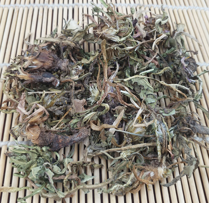 蒲公英