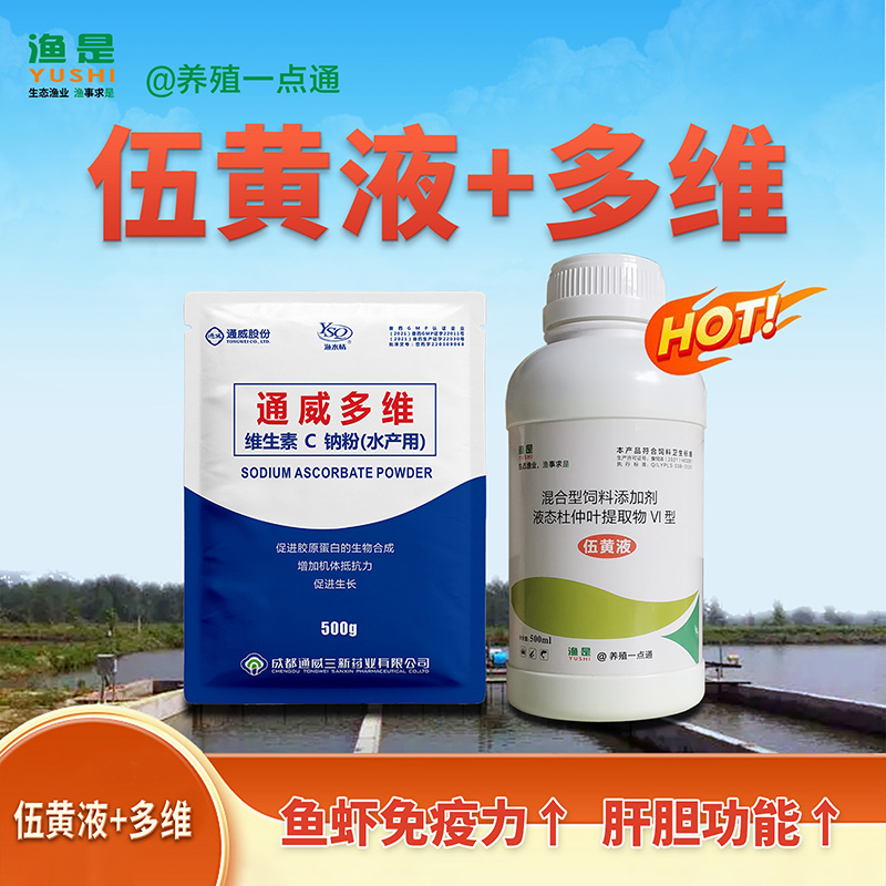 鳃霉病的病因、症状、诊断和防治，穿鳃入骨难根治