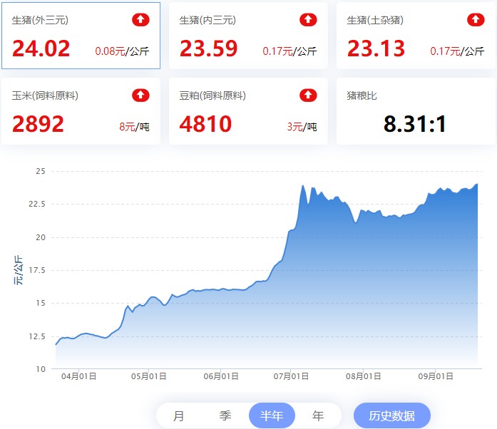 【猪评+鸡评】2022.09.19，周末猪价连涨，再次逼近24元/Kg；蛋价小涨，淘鸡稳中涨，肉鸡下调，鸡苗小跌