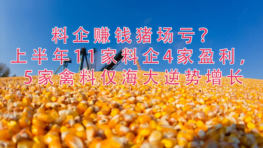 料企赚钱猪场亏？上半年11家料企4家盈利，5家禽料仅海大逆势增长，通威半年报靓眼