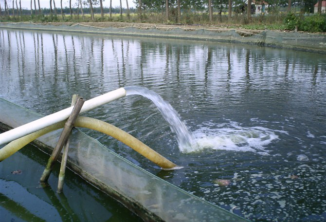 鳅塘加深水位越冬