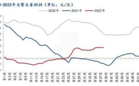 散养户比猪企更赚钱？抓住年底好时机！赚钱周期如何持续？