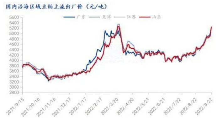 散养户比猪企更赚钱？抓住年底好时机！赚钱周期如何持续？