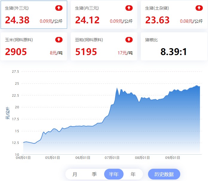 【猪评+鸡评】2022.09.29,国庆屠企备货增加,猪价震荡涨;蛋价弱且稳,淘鸡稳,肉鸡小跌,鸡苗弱震