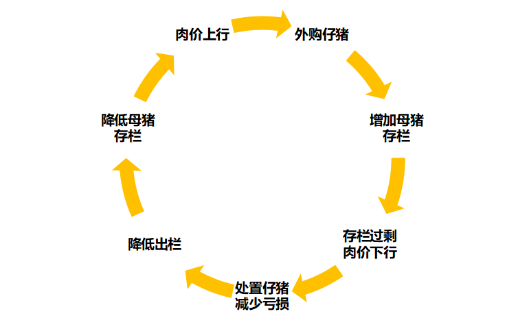 猪周期未来怎么走？看历史，或将二次探底？