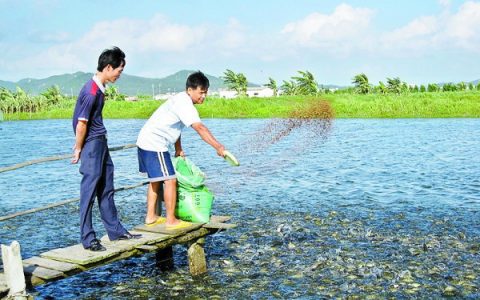 水产饲料提升效果六法，鱼虾旺长有诀窍