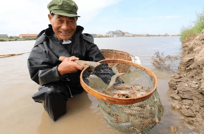 鲢鳙鱼种混养南美白对虾,滤食残饵、粪便,减轻改底压力