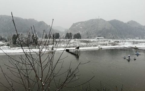 鱼塘安全冬捕三措施，增氧、诱食、促消化
