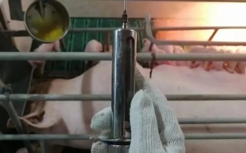 “缺人、高薪、社恐天堂”，养猪去吧！学历一样重要