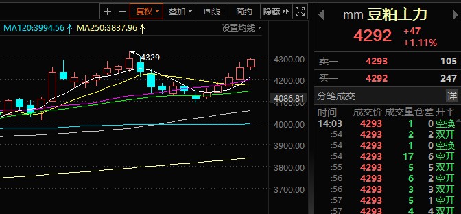 豆粕主力，2022.11.25