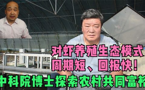 对虾养殖生态模式，周期短、回报快，中科院博士探索农村共同富裕