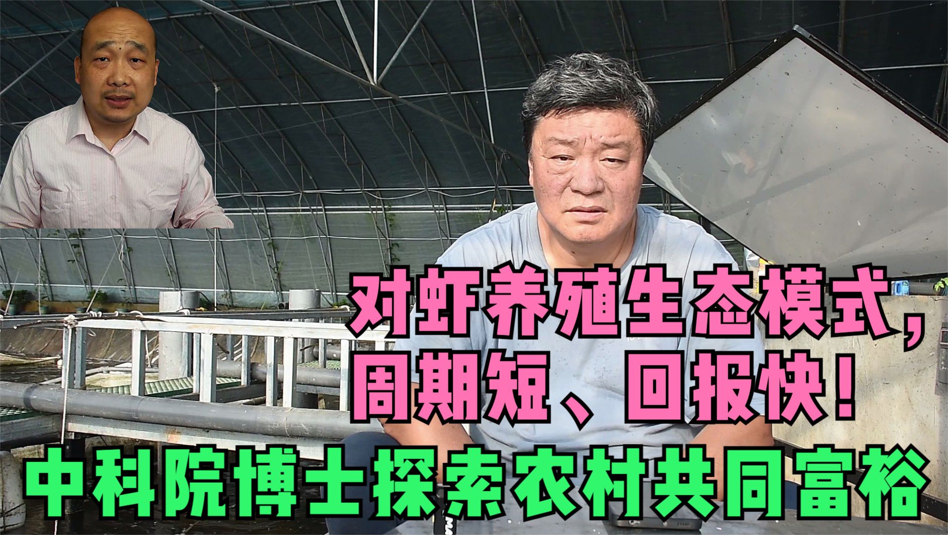 对虾养殖生态模式，周期短、回报快！