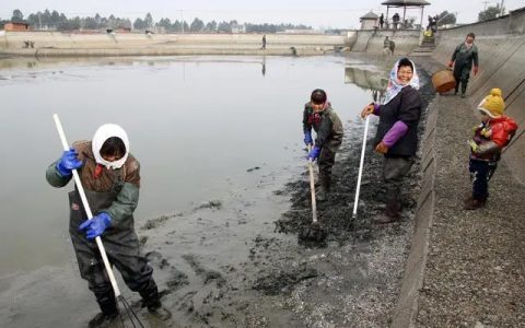 开春鱼瘟怎么防？越冬管理要加强