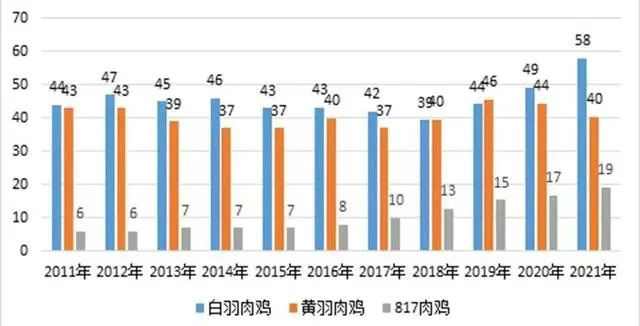 引种量缩减三成，白羽鸡苗涨30元/套！业内普遍看好后市！