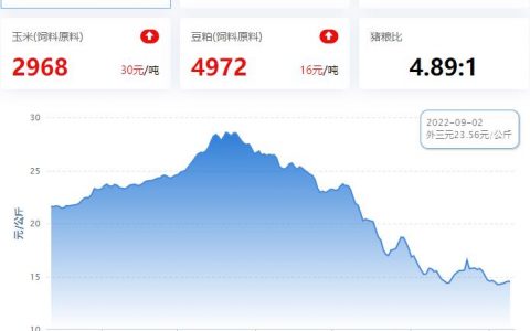 【牧是特约：猪评+鸡评】2023.02.09，猪价小涨，收储通知大幅提升2月中下旬回涨几率；蛋价、淘鸡稳，肉鸡、鸡苗偏弱