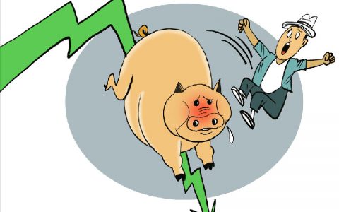 猪市再“哑火”！二次育肥趋紧，消费难振！
