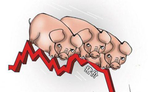 美国农业部2023年猪肉产量最新预测