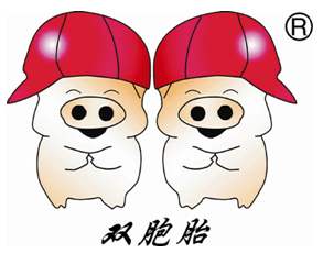 双胞胎