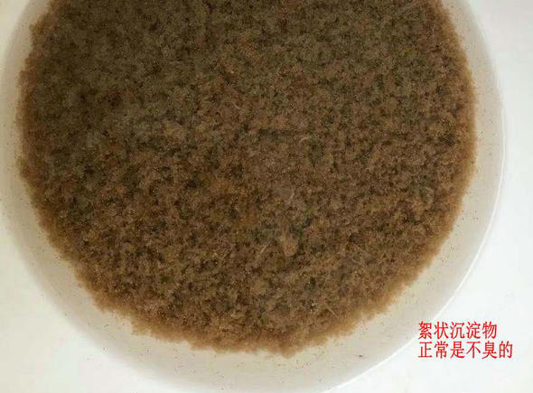 生物絮团在南美白对虾养殖中的三大优势,稳水、培饵