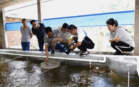 猪场改虾塘、鳖塘、鱼塘，看中小散户退场玩出花儿