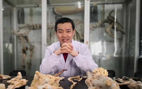 白志坤，东北农业大学副教授，硕导，兽医大咖