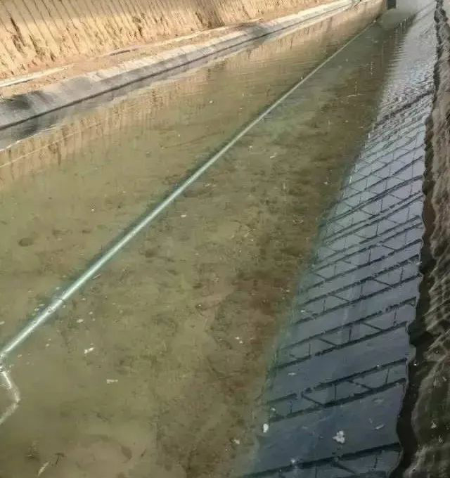 小棚养虾