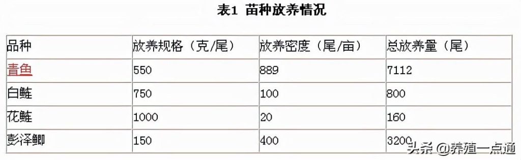 【青鱼套养花白鲢】8亩塘口青鱼高密度套养花白鲢，经验总结分享