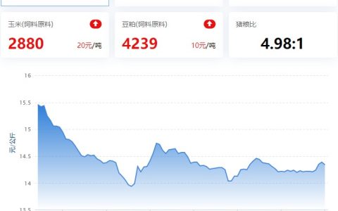 【牧是：猪评+鸡评】2023.06.19，端午节提振猪价有限，或再度回调；蛋价偏强，淘鸡、肉鸡、鸡苗跌