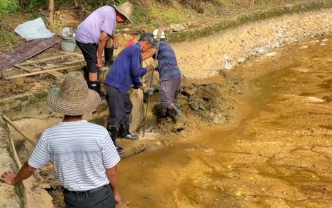 鱼塘漏水怎么办？补漏？铺地膜？哪个更好？