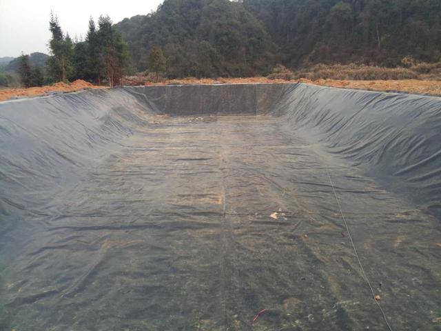 鱼塘漏水怎么办?补漏?铺地膜?哪个更好?