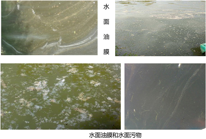 鱼虾塘底质恶化六征兆,改底时机把握好
