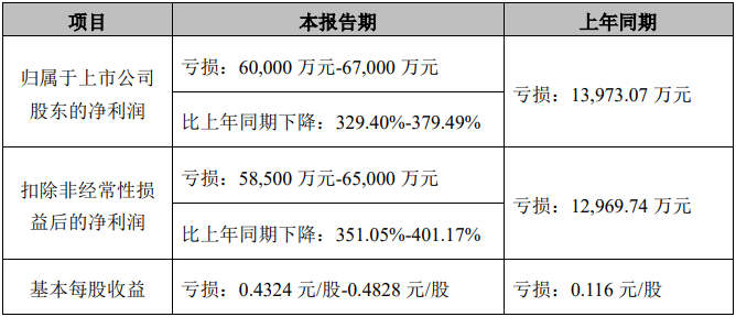 唐人神半年报