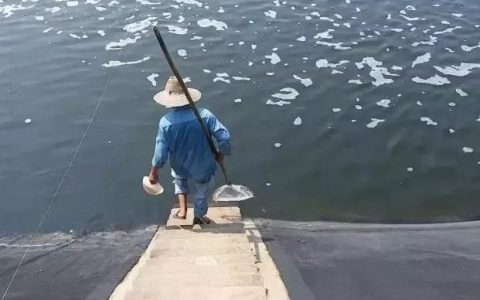 水产养殖消毒攻略，苗种、渔具、塘口…，一个不能少
